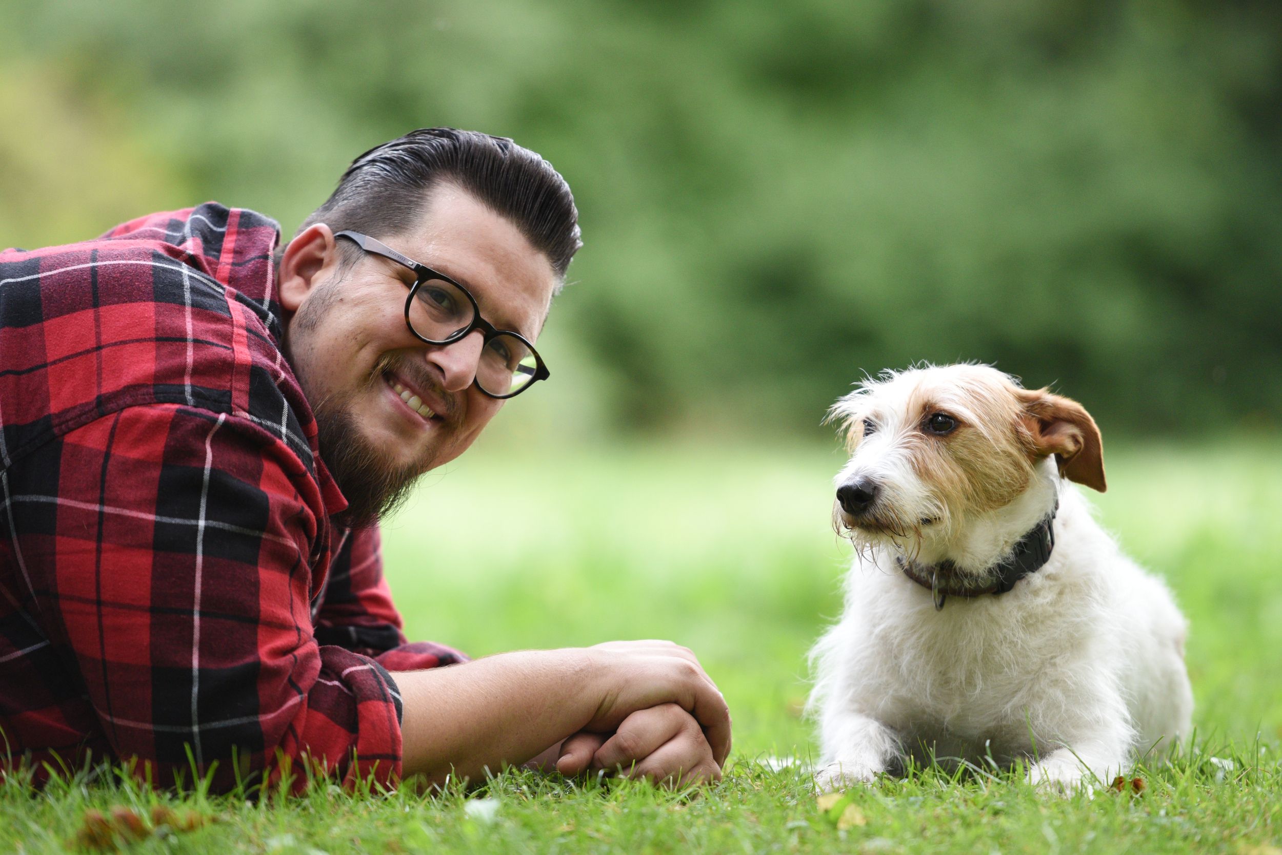 Gewinnspiel, Martin Rütter DOGS Augsburg bietet „Home-Schooling für Hunde