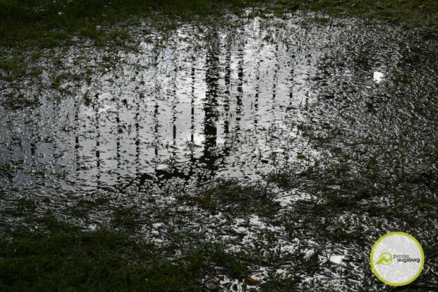 Galerie Zum Modular-Festle | Positives Fazit Trotz Coronaregelungen Und Regen