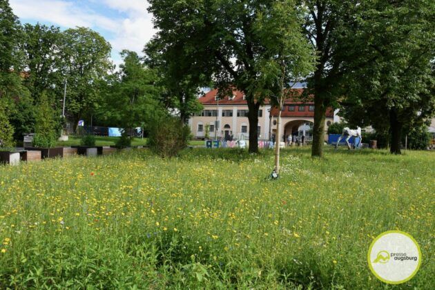 Galerie Zum Modular-Festle | Positives Fazit Trotz Coronaregelungen Und Regen