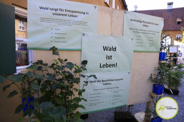 Die Fuggerei Wird 500 - Ein Rundgang Durch Die Siedlung Und Geschichte