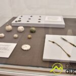 Die Römerfunde aus Oberhausen | Spektakuläre Stücke werden im Zeughaus Augsburg gezeigt 43 Die Römerfunde Aus Oberhausen | Spektakuläre Stücke Werden Im Zeughaus Augsburg Gezeigt