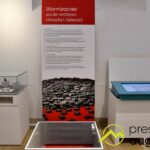 Die Römerfunde aus Oberhausen | Spektakuläre Stücke werden im Zeughaus Augsburg gezeigt 62 Die Römerfunde Aus Oberhausen | Spektakuläre Stücke Werden Im Zeughaus Augsburg Gezeigt