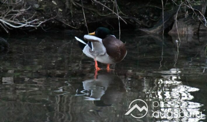 Ausflugstipp Mit Galerie | Ein Liebevoller Märchenweg Und Mehr - Ein Besuch Im Botanischen Garten