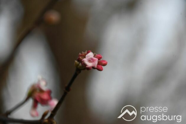 Ausflugstipp Mit Galerie | Ein Liebevoller Märchenweg Und Mehr - Ein Besuch Im Botanischen Garten