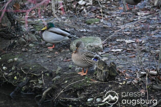 Ausflugstipp Mit Galerie | Ein Liebevoller Märchenweg Und Mehr - Ein Besuch Im Botanischen Garten