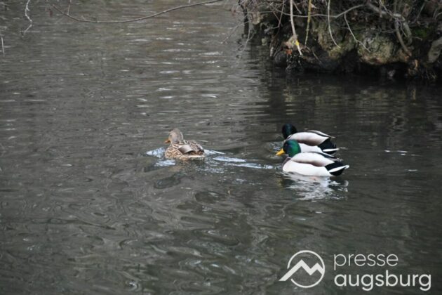 Ausflugstipp Mit Galerie | Ein Liebevoller Märchenweg Und Mehr - Ein Besuch Im Botanischen Garten