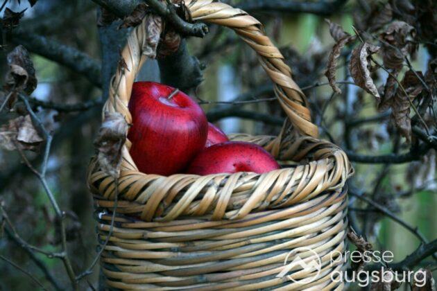Ausflugstipp Mit Galerie | Ein Liebevoller Märchenweg Und Mehr - Ein Besuch Im Botanischen Garten