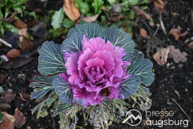 Ausflugstipp Mit Galerie | Ein Liebevoller Märchenweg Und Mehr - Ein Besuch Im Botanischen Garten