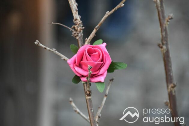 Ausflugstipp Mit Galerie | Ein Liebevoller Märchenweg Und Mehr - Ein Besuch Im Botanischen Garten