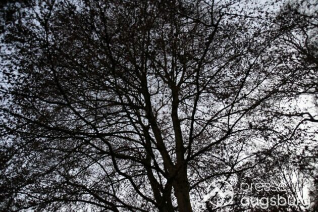 Ausflugstipp Mit Galerie | Ein Liebevoller Märchenweg Und Mehr - Ein Besuch Im Botanischen Garten
