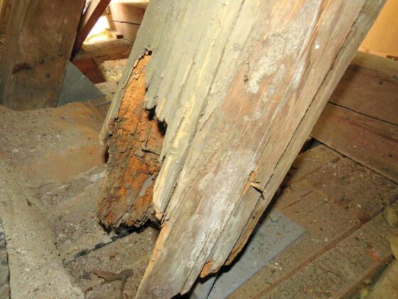 Sanierung Des Augsburger Bischofshauses Wird Über 10 Mio. Euro Kosten