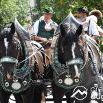 Augsburger Plärrer | Festumzug wird zur Eröffnung wieder die ganze Vielfalt der Stadt zeigen
