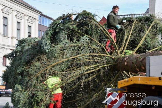 Alle Jahre Wieder | &Quot;Christbaum Für Alle&Quot; Wurde Für Den Augsburger Christkindlesmarkt Aufgestellt