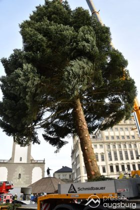 Alle Jahre Wieder | &Quot;Christbaum Für Alle&Quot; Wurde Für Den Augsburger Christkindlesmarkt Aufgestellt