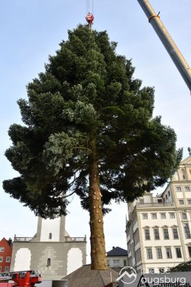 Alle Jahre Wieder | &Quot;Christbaum Für Alle&Quot; Wurde Für Den Augsburger Christkindlesmarkt Aufgestellt