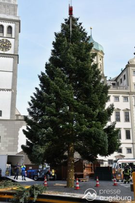 Alle Jahre Wieder | &Quot;Christbaum Für Alle&Quot; Wurde Für Den Augsburger Christkindlesmarkt Aufgestellt