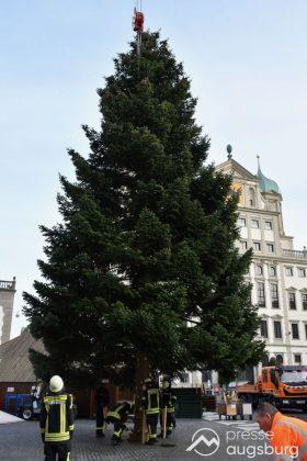 Alle Jahre Wieder | &Quot;Christbaum Für Alle&Quot; Wurde Für Den Augsburger Christkindlesmarkt Aufgestellt
