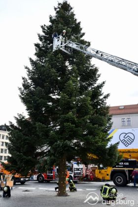 Alle Jahre Wieder | &Quot;Christbaum Für Alle&Quot; Wurde Für Den Augsburger Christkindlesmarkt Aufgestellt