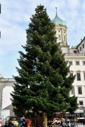 Alle Jahre Wieder | &Quot;Christbaum Für Alle&Quot; Wurde Für Den Augsburger Christkindlesmarkt Aufgestellt