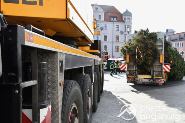 Alle Jahre Wieder | &Quot;Christbaum Für Alle&Quot; Wurde Für Den Augsburger Christkindlesmarkt Aufgestellt