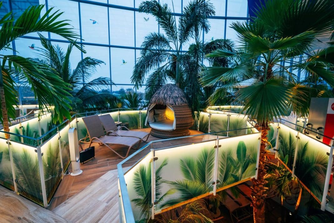 Palm Lounge Premium bei Abendstimmung