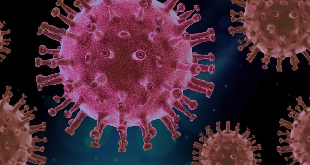 virus-g9f3cf580b_1280