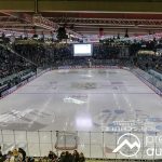 Augsburger Panther verlängern mit Enrico Henriquez