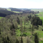 Großprojekt zum Schutz der Artenvielfalt im Unterallgäuer Haselbachtal