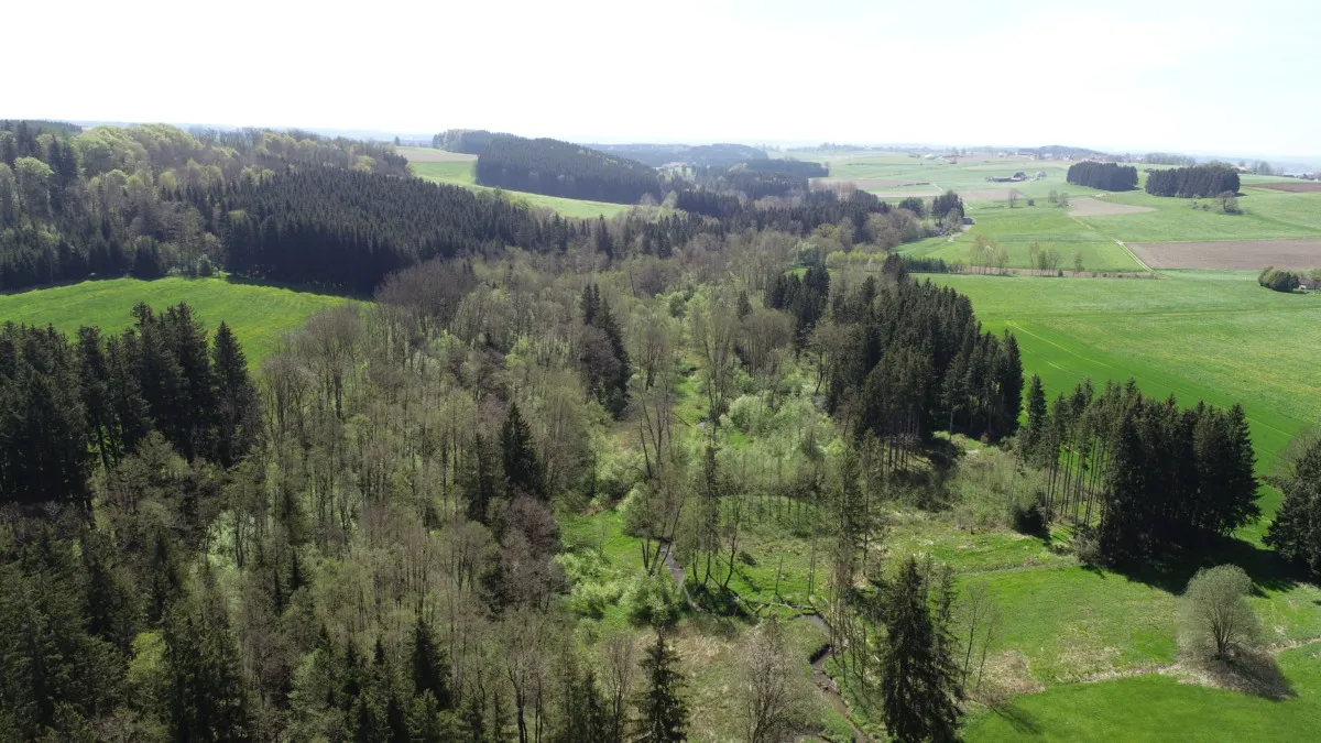 Großprojekt zum Schutz der Artenvielfalt im Unterallgäuer Haselbachtal