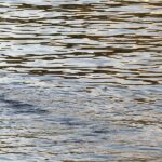 Badewarnung für den Silbersee in Rettenbach