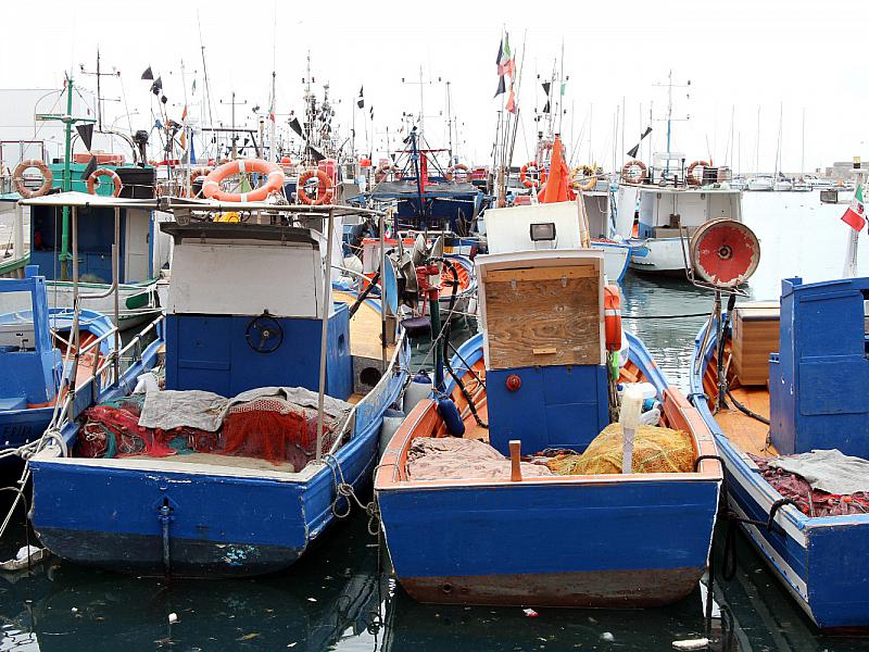 Landwirtschaftsministerium Foerdert Fischereiunternehmen