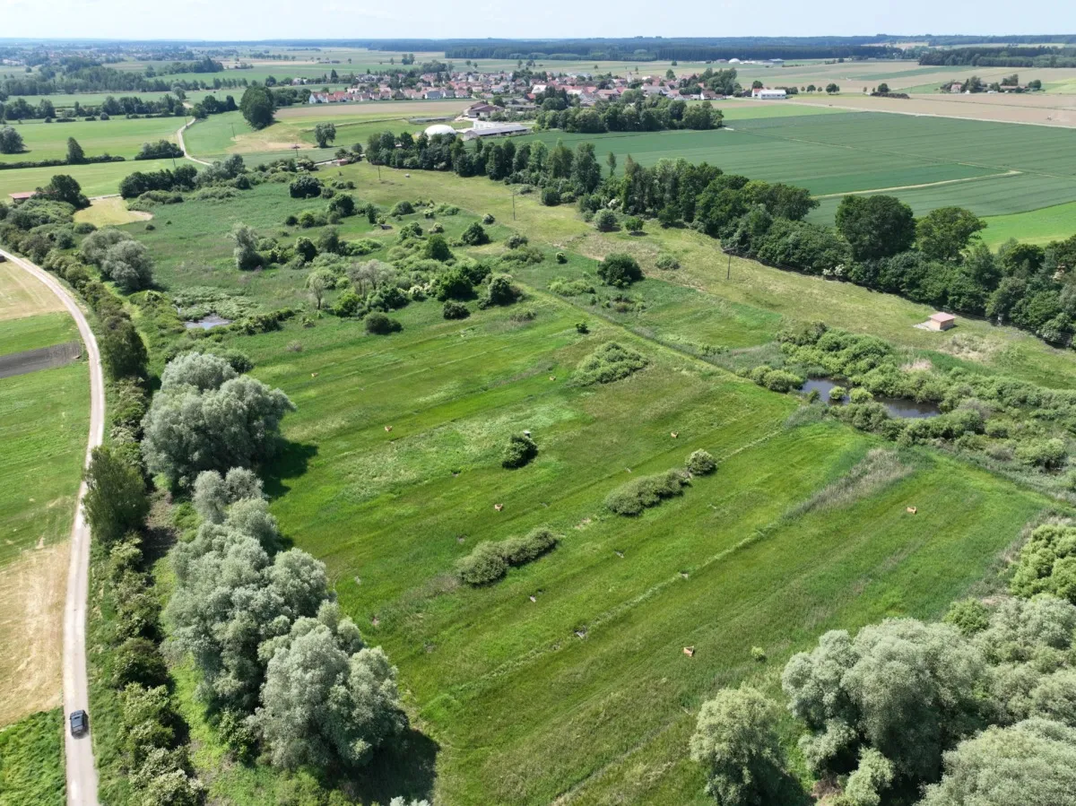 Neues Klimaschutzprojekt im Landkreis Günzburg: Moorrenaturierung in der “Riedlüsse” bei Oxenbronn