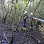 München | 1000 Quadratmeter Wald in Brand