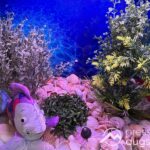 „Ulrichs Fisch“ | Eine besondere Ausstellung für junge Besucher im Diözesanmuseum St. Afra