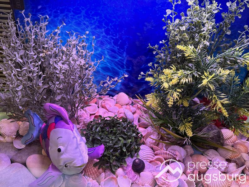 „Ulrichs Fisch“ | Eine besondere Ausstellung für junge Besucher im Diözesanmuseum St. Afra
