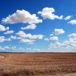 Gesundheit im Klimawandel | Gemeinsamer Bundesausschuss fördert zwei Forschungsprojekte der Augsburger Universitätsmedizin