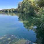 Algen | Gesundheitsamt bestätigt Badewarnung für den Riedlinger Baggersee
