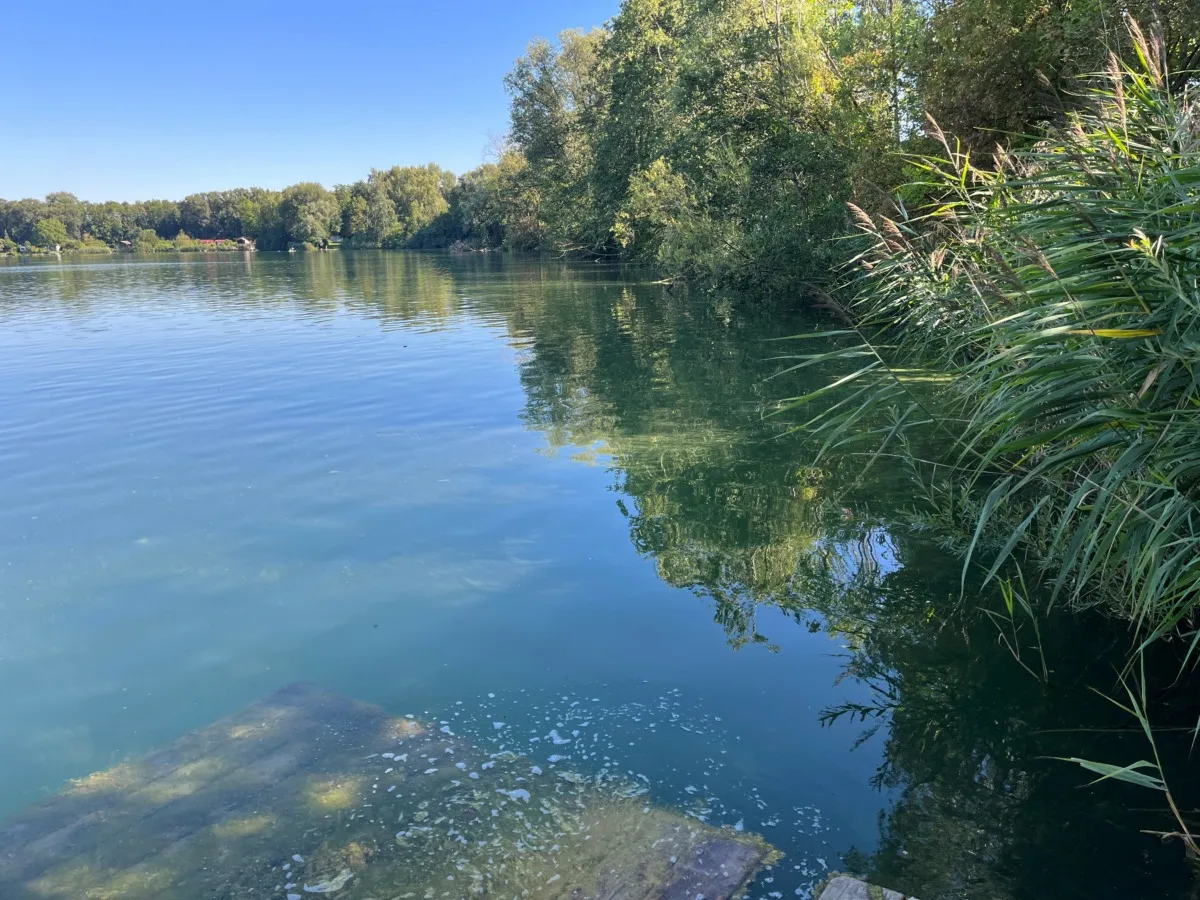 Algen | Gesundheitsamt bestätigt Badewarnung für den Riedlinger Baggersee