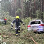 Ramsberg | War es ein Downburst? Schneise der Verwüstung – Bäume treffen Autos und LKW