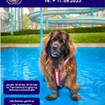 Familienbad Augsburg begrüßt zum Saisonende wieder zum Hundebadetag “Bello’s Batschlach”