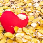 Herbstzeit ist Kuschelzeit – auch auf dem Portal Singles Augsburg