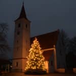Oh Tannenbaum… | Die Stadt Neu-Ulm sucht noch Weihnachtsbäume für die Innenstadt und Stadtteile