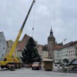 Die Landsberger Christbäume stehen – 15 Meter hohe Weißtanne aus Hurlach auf dem Hauptplatz aufgestellt