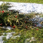 Turbulentes Wetter bis zum Weihnachtsfest – Weiße Überraschungen sind möglich