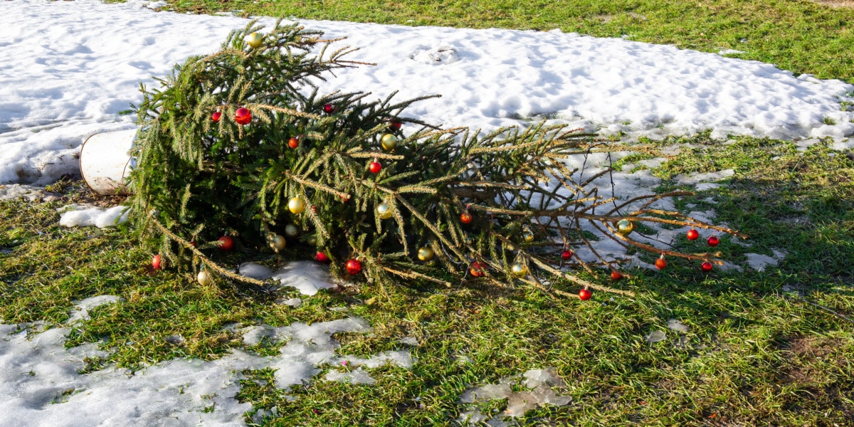 Turbulentes Wetter bis zum Weihnachtsfest – Weiße Überraschungen sind möglich