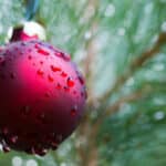 Das Weihnachtswetter ist eine Kopie vom letzten Jahr – Es erwarten uns Regen und Wind