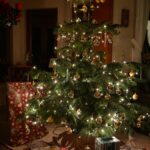 Wohin mit dem ausgedienten Christbaum in der Region Augsburg?