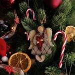 So funktioniert die Entsorgung von Christbäumen in Augsburg