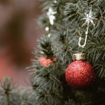 Wohin mit dem ausgedienten Christbaum im Landkreis Günzburg?
