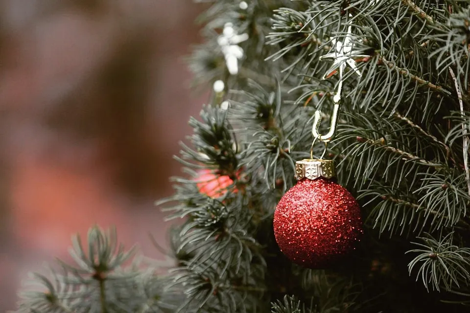 Wohin mit dem ausgedienten Christbaum im Landkreis Günzburg?